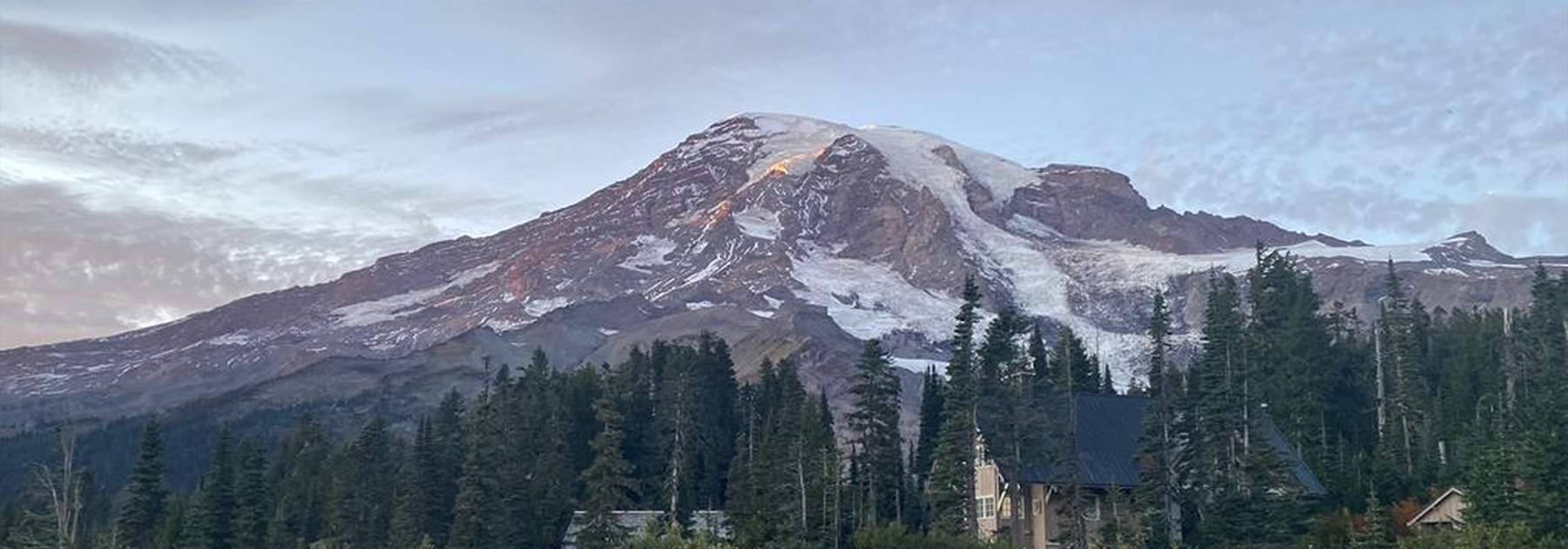 Mount Rainier in a Day: Scenic Washington Adventure
