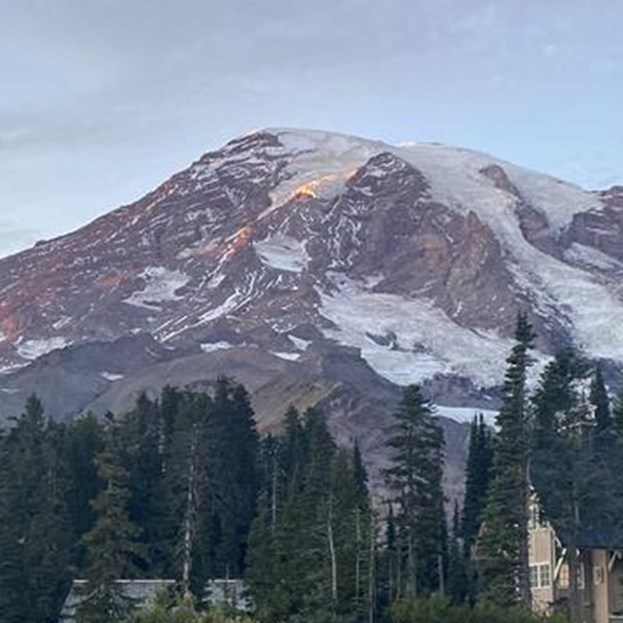 Mount Rainier in a Day: Scenic Washington Adventure