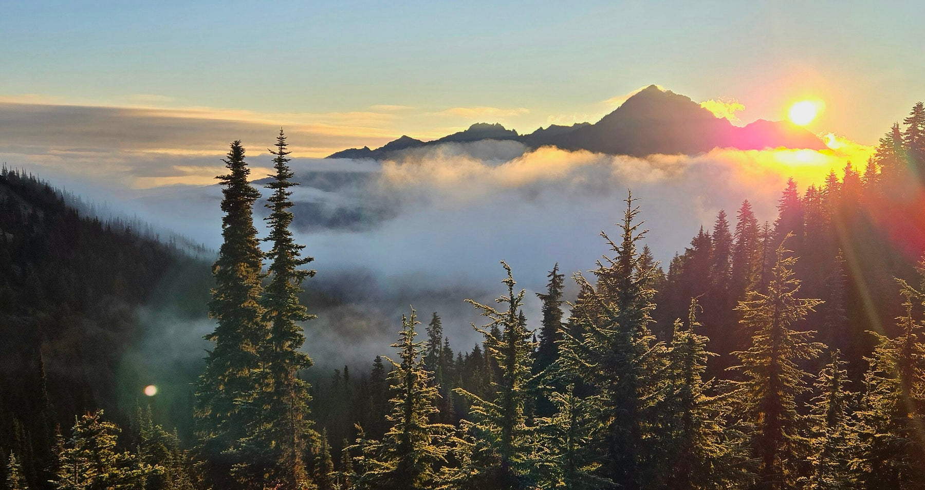 Where Rainforests Meet the Ocean: An Olympic National Park Journey