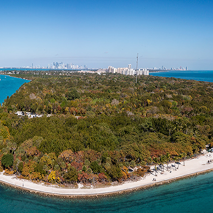 Explore the Wonders of Biscayne National Park
