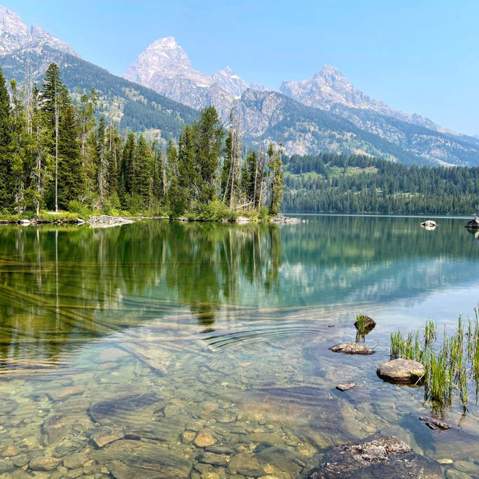 Explore Grand Teton National Park: Epic Views, Wildlife & Adventure Awaits!