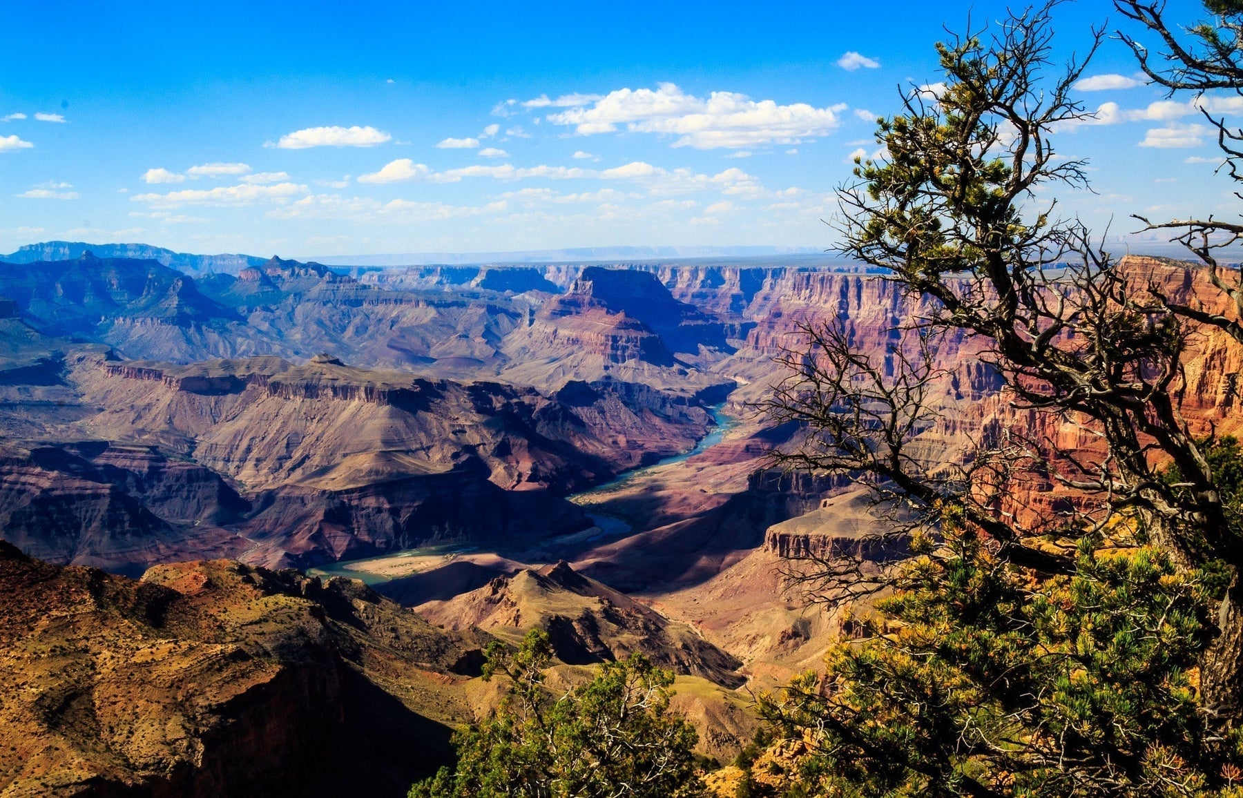 Journey Through the Grand Canyon: Scenic Wonders You Can’t Miss