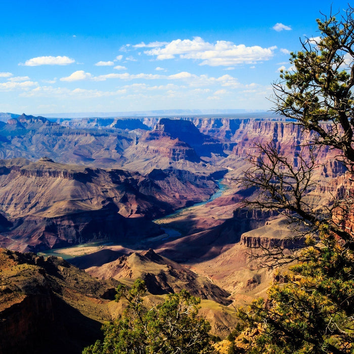 Journey Through the Grand Canyon: Scenic Wonders You Can’t Miss