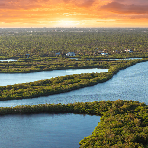 Discover the Heart of the Everglades: A Spring Adventure Like No Other