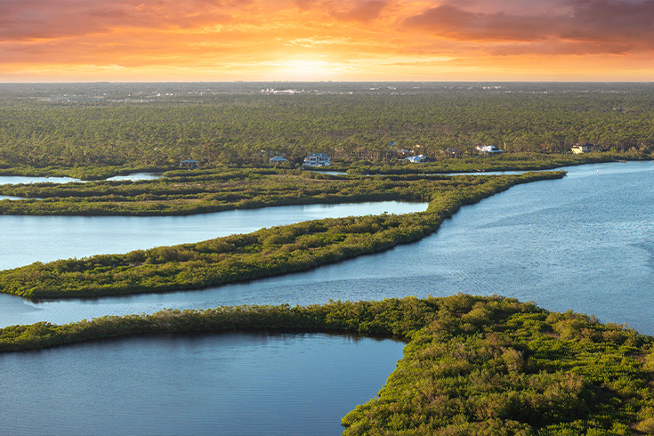 Discover the Heart of the Everglades: A Spring Adventure Like No Other