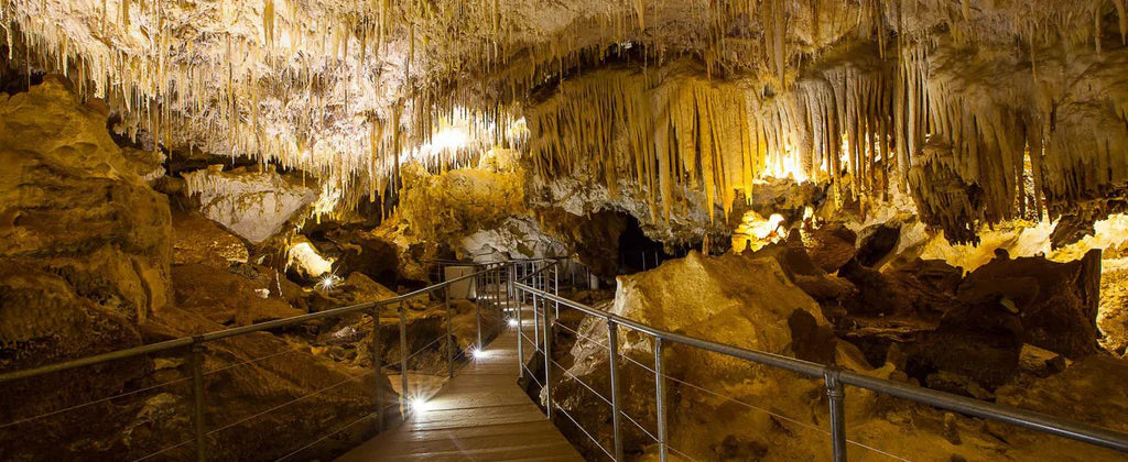 Exploring Wind Cave National Park: From Underground Wonders to Prairie Adventures