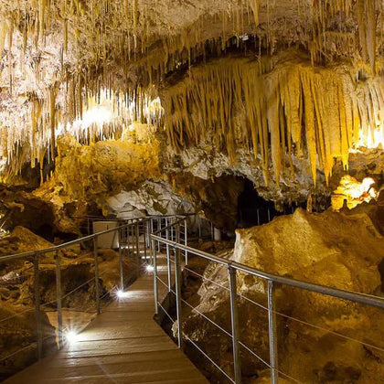 Exploring Wind Cave National Park: From Underground Wonders to Prairie Adventures