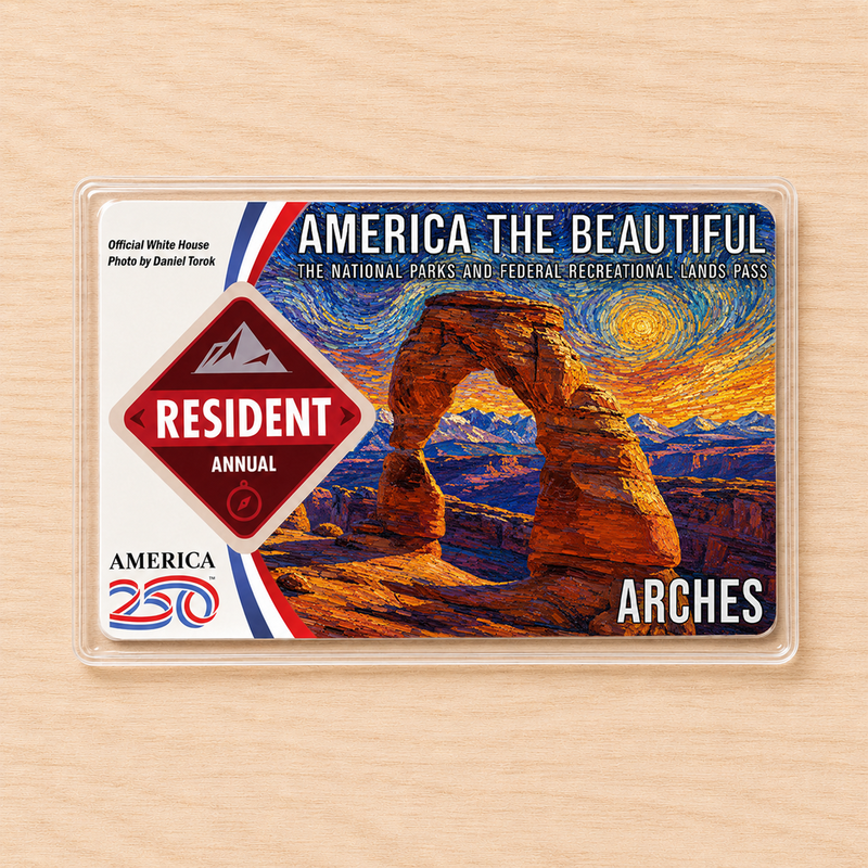 Van Gogh National Park Pass Sleeve | Gifts for Hikers & Camp Lovers | Pass Protector