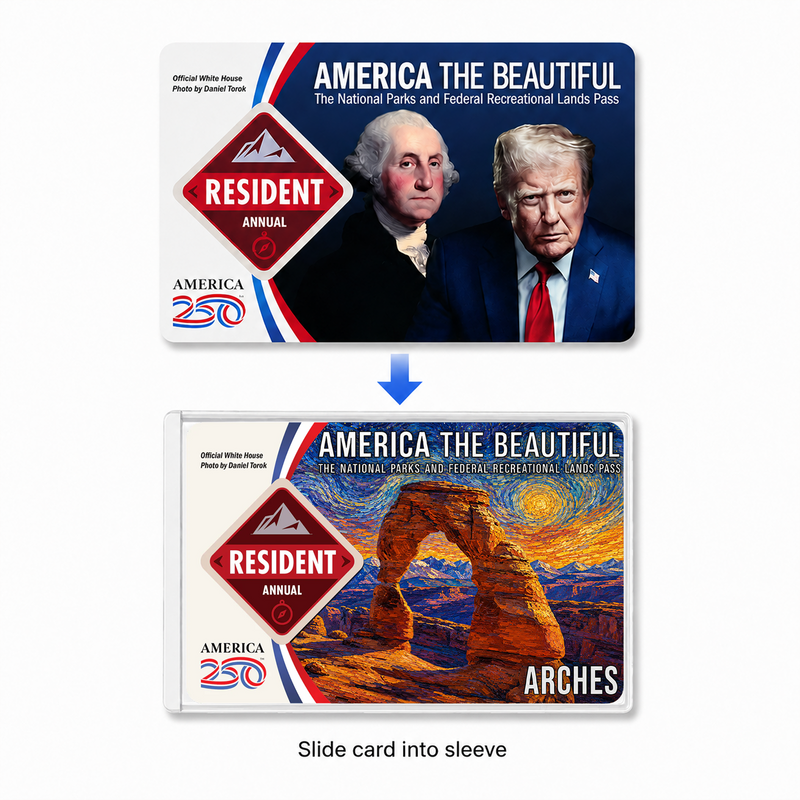 Van Gogh National Park Pass Sleeve | Gifts for Hikers & Camp Lovers | Pass Protector