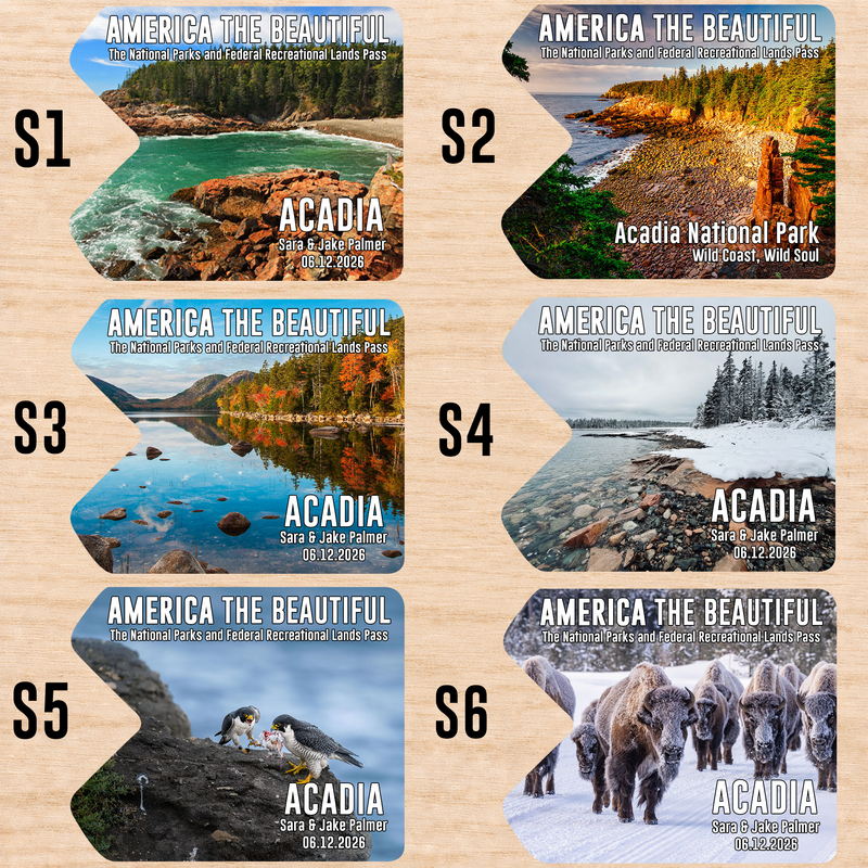 Pack 6 Acadia National Park Pass Sleeves – Landscapes & Animals | Gift for Hikers & Travel Lovers