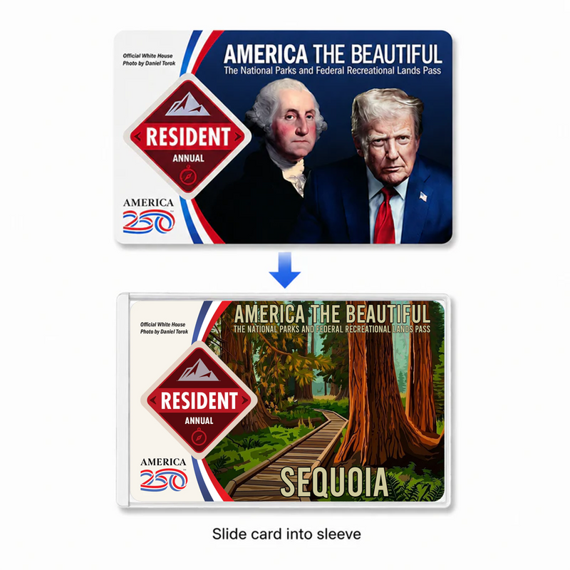 Sequoia National Park Pass Sleeve | Gift for Hikers & Campers