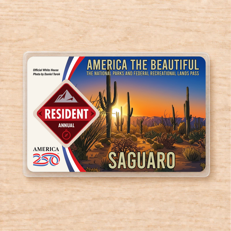 Saguaro National Park Pass Sleeve | Gift for Hikers & Desert Lovers