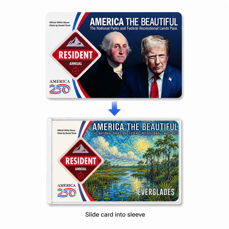 Everglades Van Gogh National Park Pass Sleeve | Gift For Hikers & Travel Lovers | Pass Protector