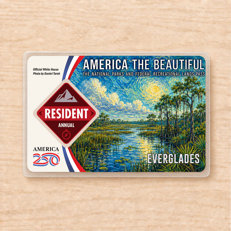 Everglades Van Gogh National Park Pass Sleeve | Gift For Hikers & Travel Lovers | Pass Protector