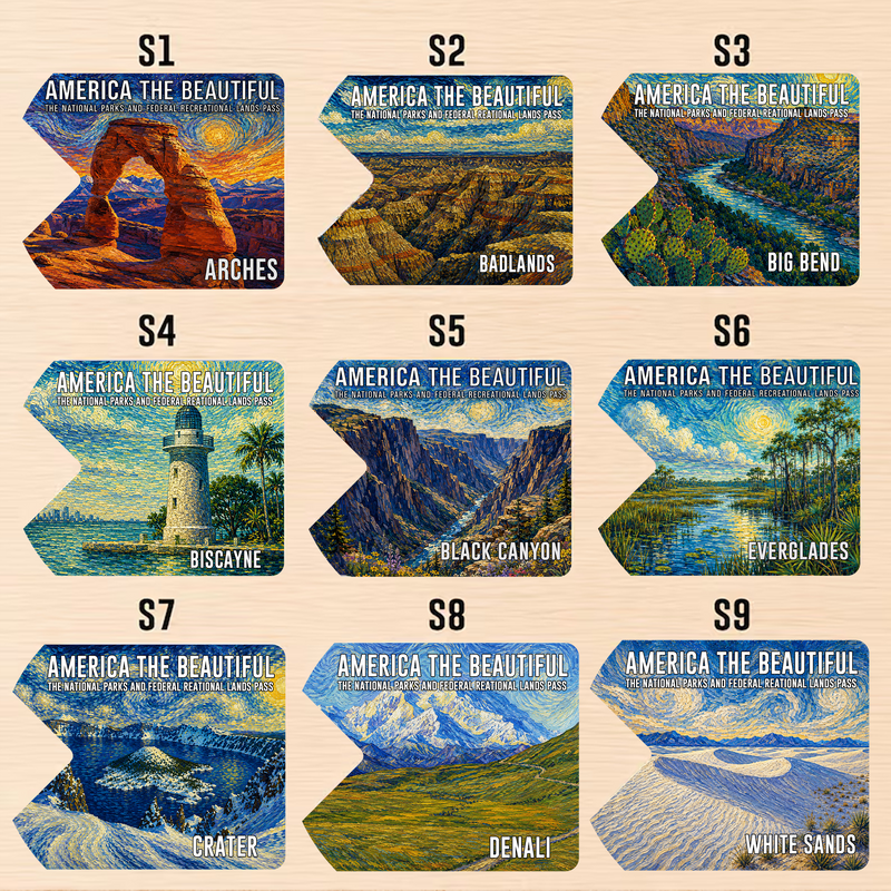 Van Gogh National Park Pass Sleeve | Gifts for Hikers & Camp Lovers | Pass Protector
