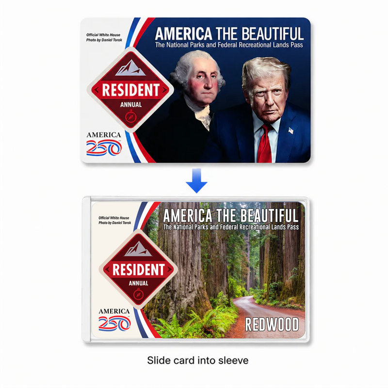 Redwood National Park Pass Holder | Gift for Hikers & Travel Lovers