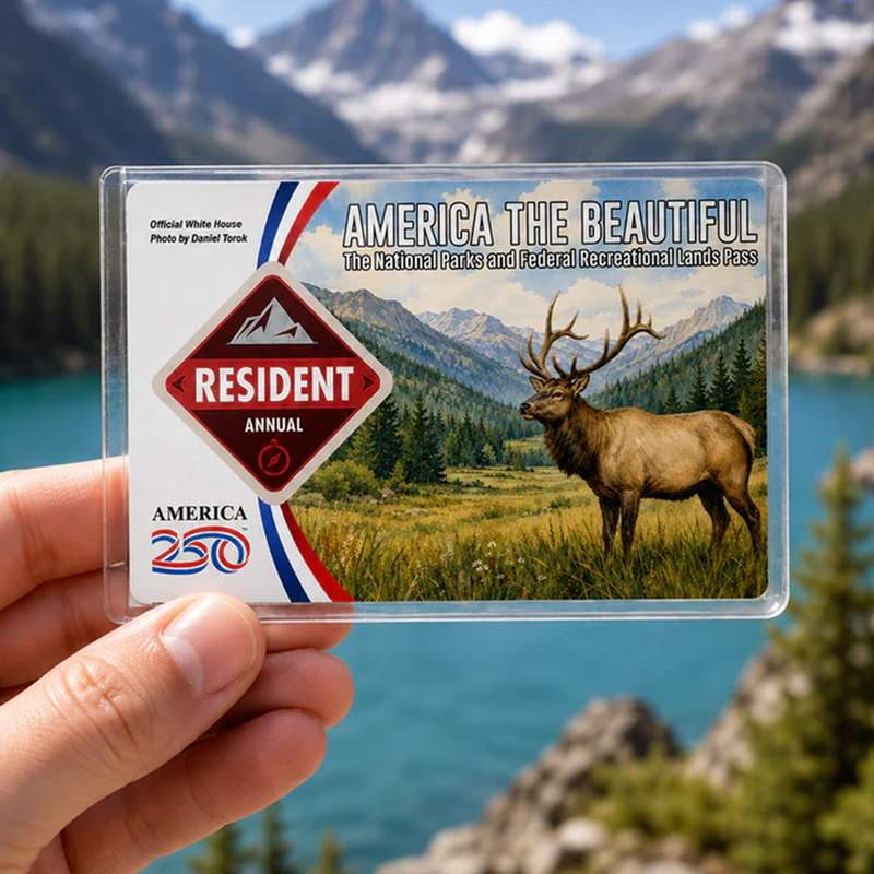 National Park Pass Sleeve – Clear Card Holder America the Beautiful Pass Protector for Hikers & Travel Lovers