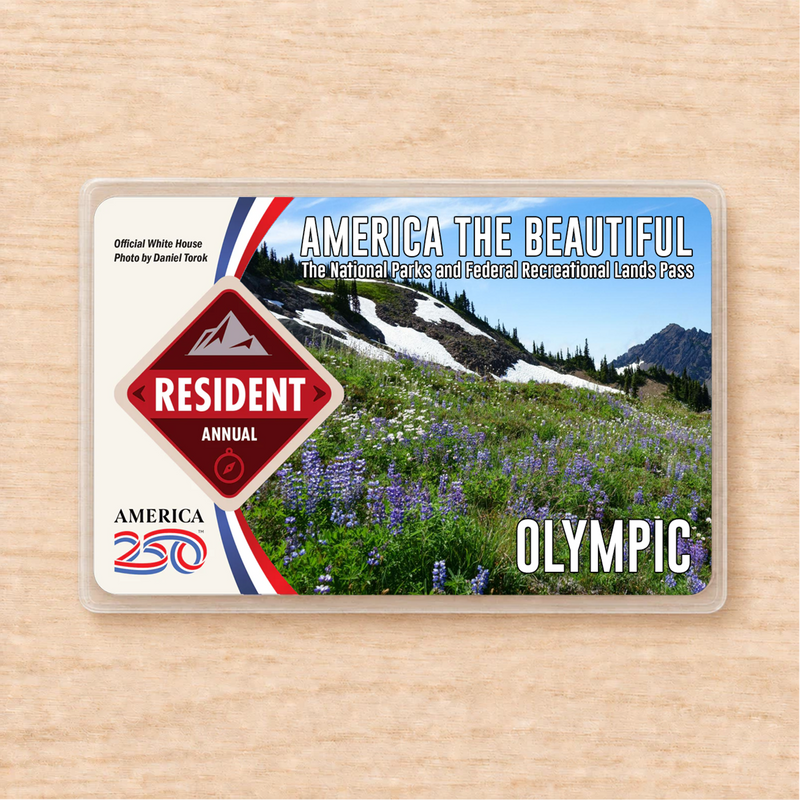 Olympic National Park Pass Sleeve | Gift for Hikers & Campers