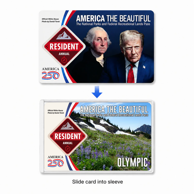 Olympic National Park Pass Sleeve | Gift for Hikers & Campers