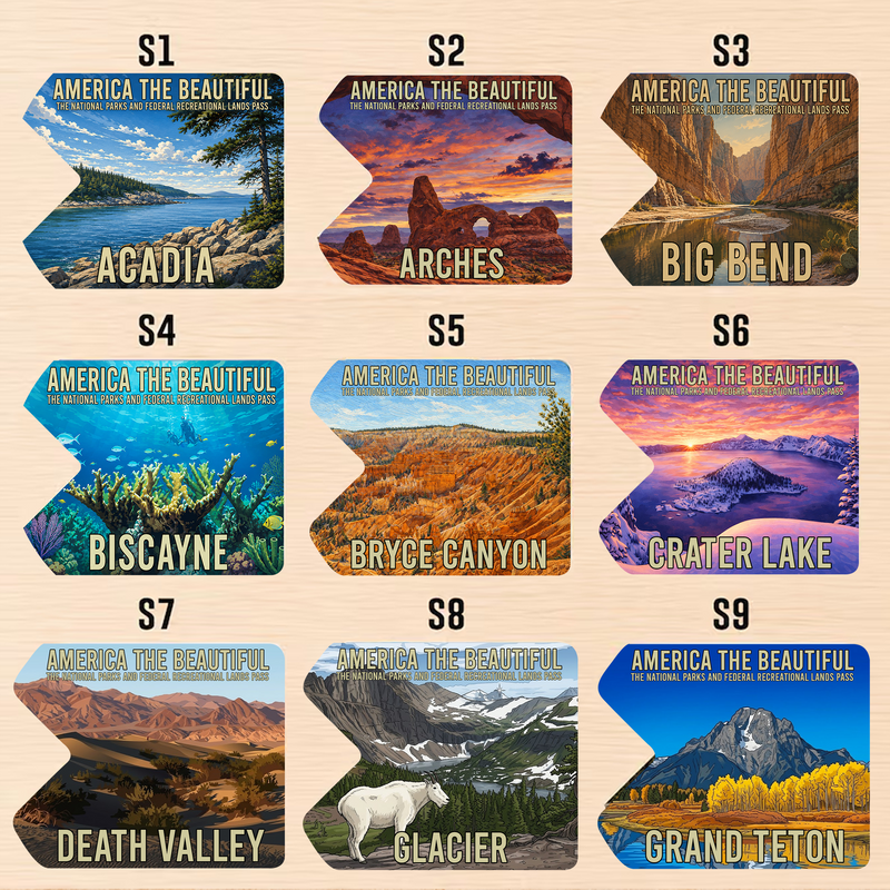 Custom National Park Pass Sleeve | Gifts for Hikers & Camp Lovers | Pass Protector