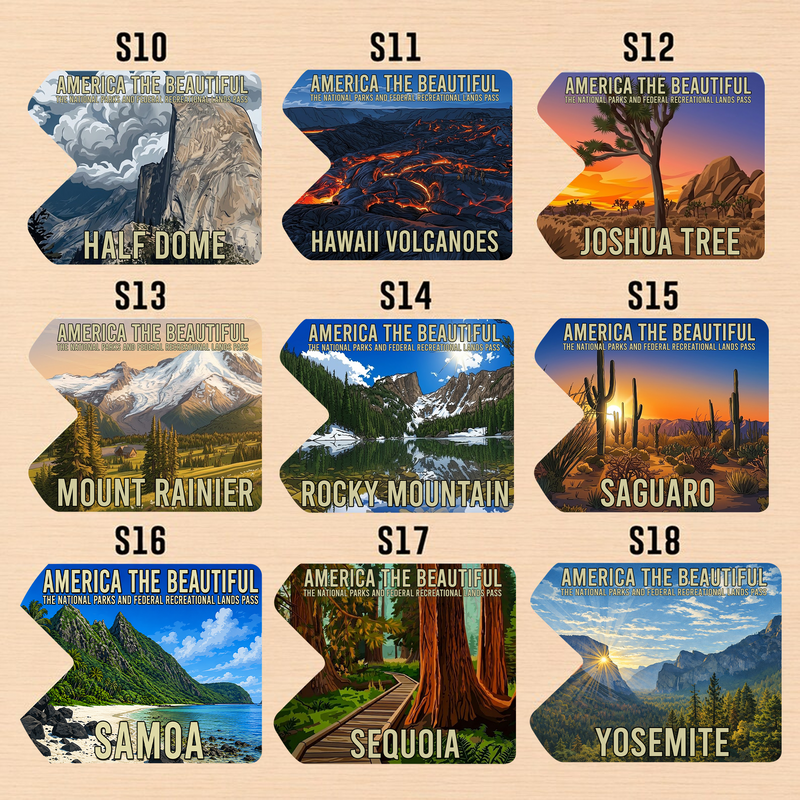 Custom National Park Pass Sleeve | Gifts for Hikers & Camp Lovers | Pass Protector