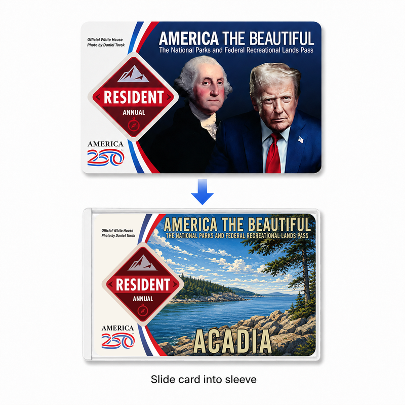 Custom National Park Pass Sleeve | Gifts for Hikers & Camp Lovers | Pass Protector