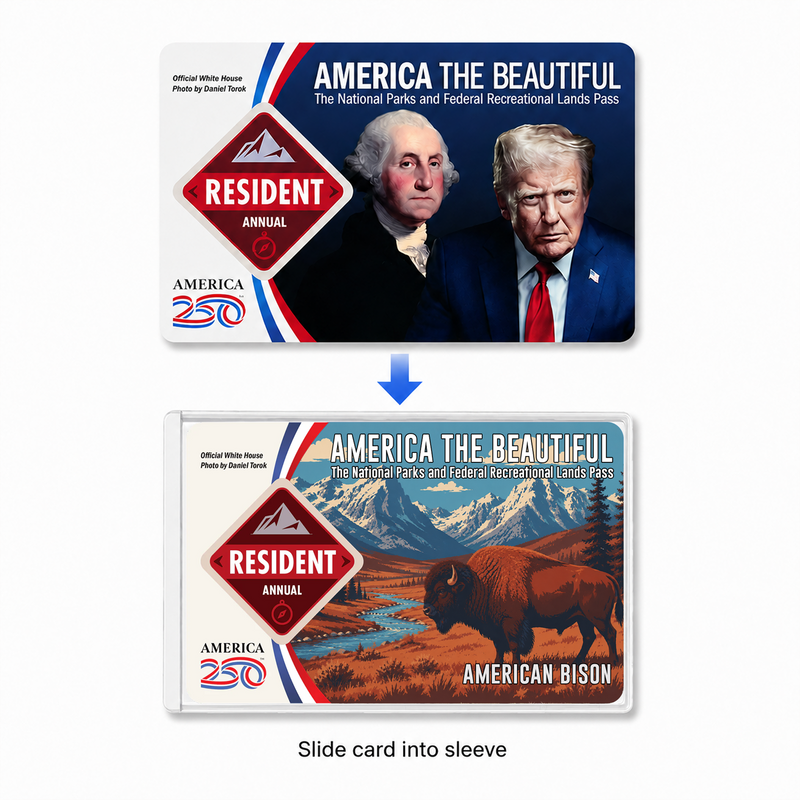 American Bison National Park Pass Sleeve – America the Beautiful Card Cover for Hikers & Travel Lovers
