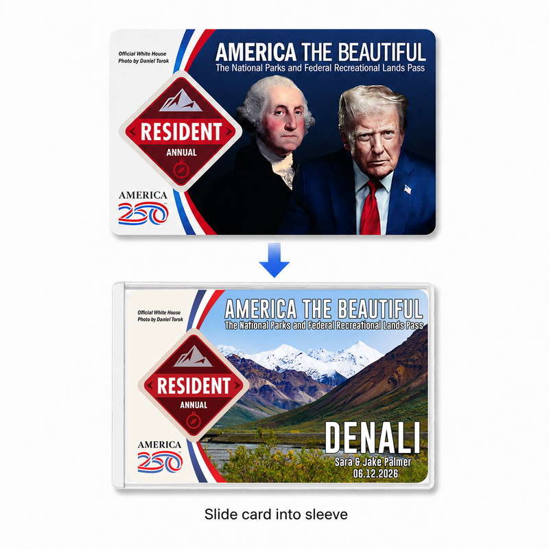 Pack 6 Denali National Park Pass Sleeves – Landscapes & Animals | Gift for Hikers & Travel Lovers