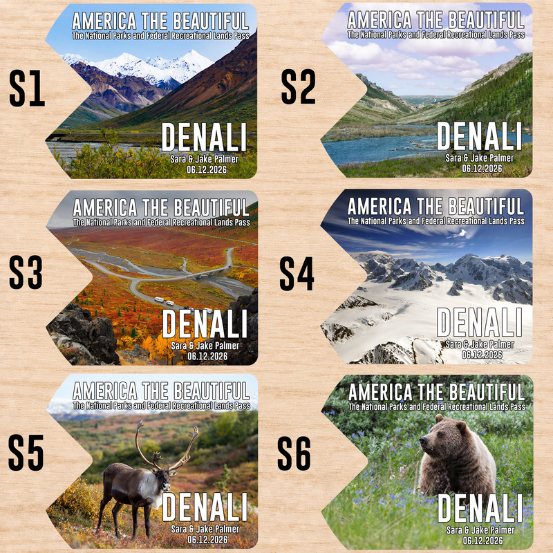 Pack 6 Denali National Park Pass Sleeves – Landscapes & Animals | Gift for Hikers & Travel Lovers