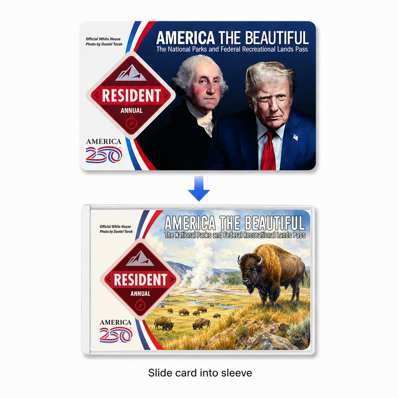 American Bison National Park Pass Sleeve – America the Beautiful Card Cover for Hikers & Travel Lovers