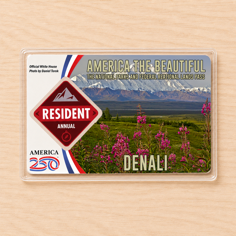 Pesonal National Park Pass Sleeve | Gifts for Hikers & Camp Lovers | Pass Protector