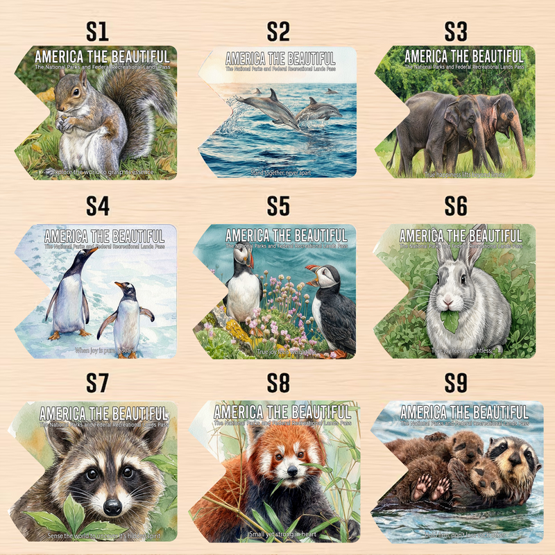 Animal National Park Pass Sleeve | Gifts for Hikers & Camp Lovers | Pass Protector