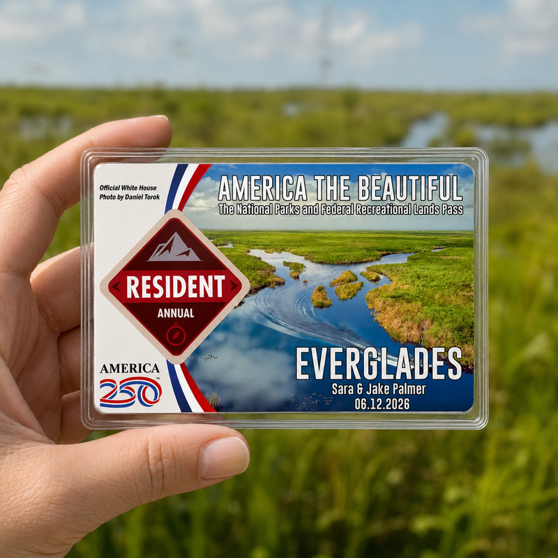 Pack 6 Everglades National Park Pass Sleeves – Landscapes & Animals | Gift for Hikers & Travel Lovers