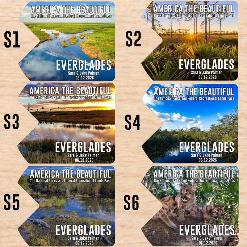 Pack 6 Everglades National Park Pass Sleeves – Landscapes & Animals | Gift for Hikers & Travel Lovers