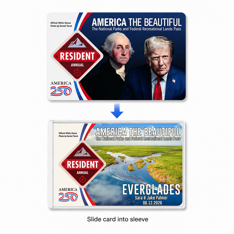 Pack 6 Everglades National Park Pass Sleeves – Landscapes & Animals | Gift for Hikers & Travel Lovers