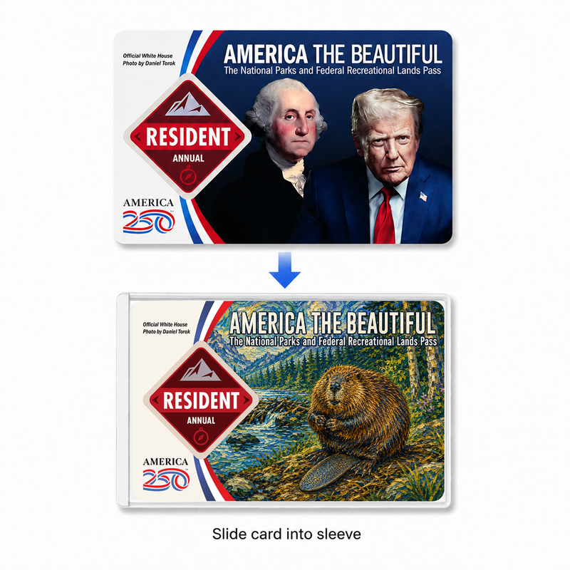Van Gogh Animals National Park Pass Sleeve | Gifts for Hikers & Camp Lovers | Pass Protector
