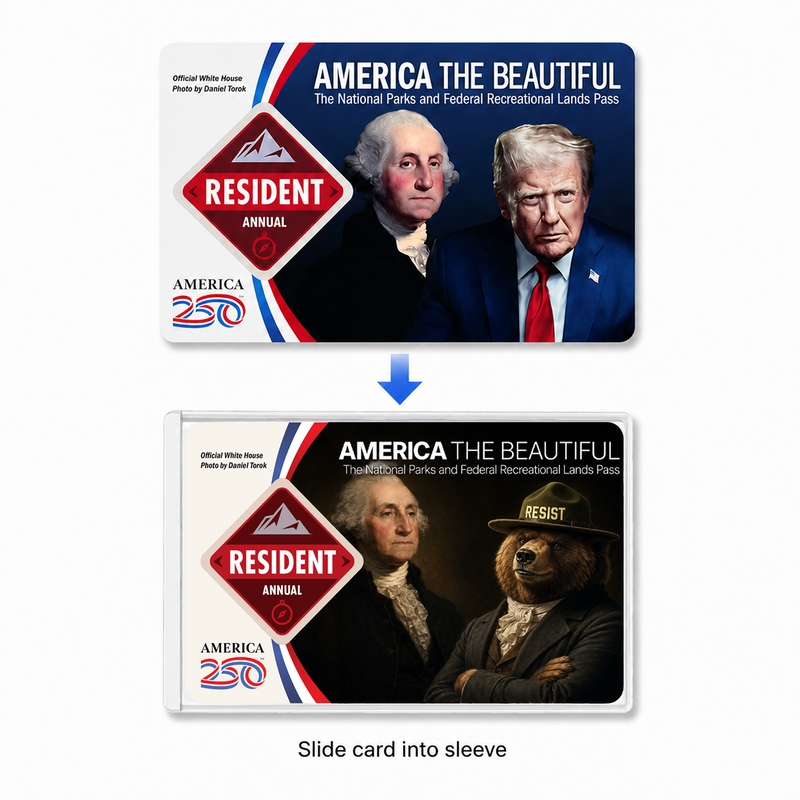 National Park Bear Pass Sleeve – America the Beautiful Card Cover for Hikers & Travel Lovers